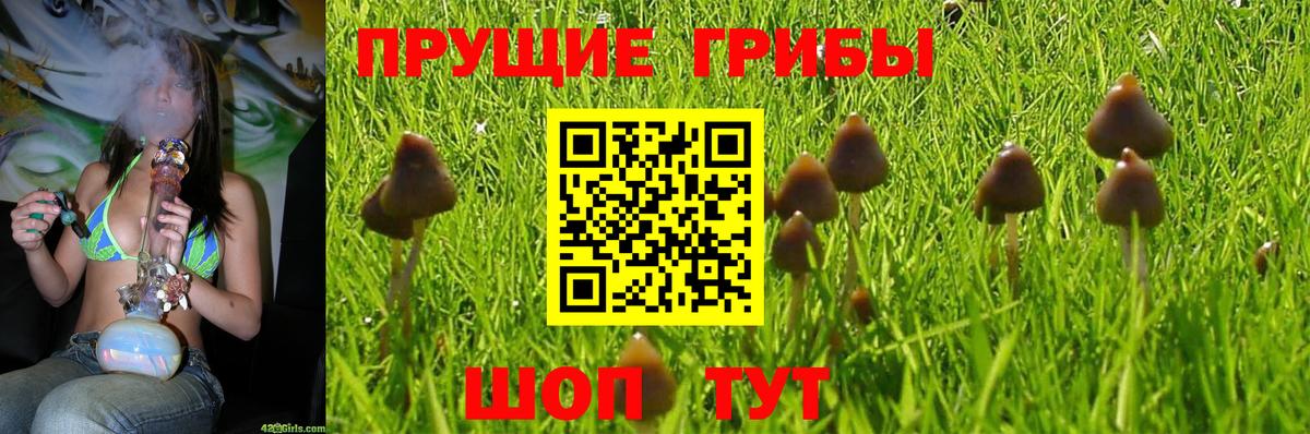 Галлюциногенные грибы мухоморы Сердобск